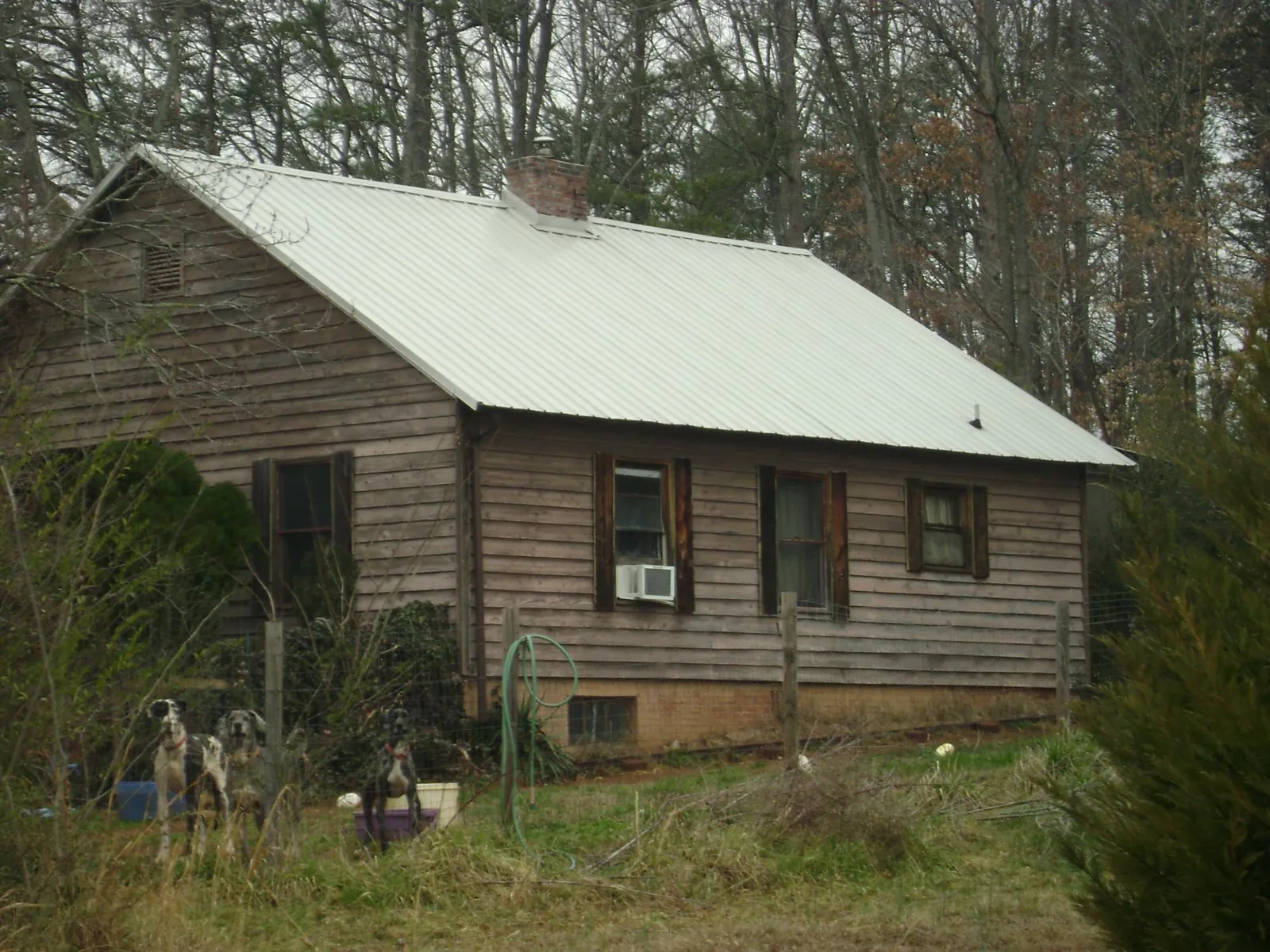 White metal roof on an old wood sided farmhouse, from a Asphalt Shingle Roof Repair job in Oakland
